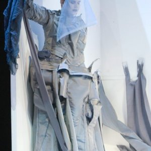 butterfly_3_20170411_2042733802