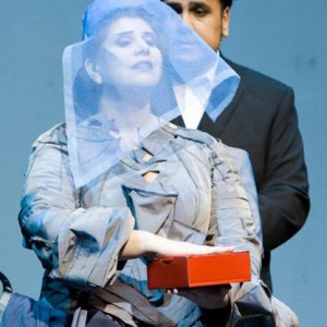 butterfly_5_20170411_1038577984