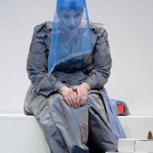 butterfly_6_20170411_1381402219